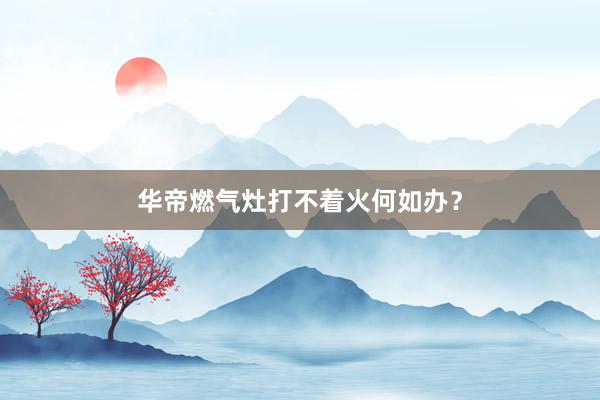 华帝燃气灶打不着火何如办？