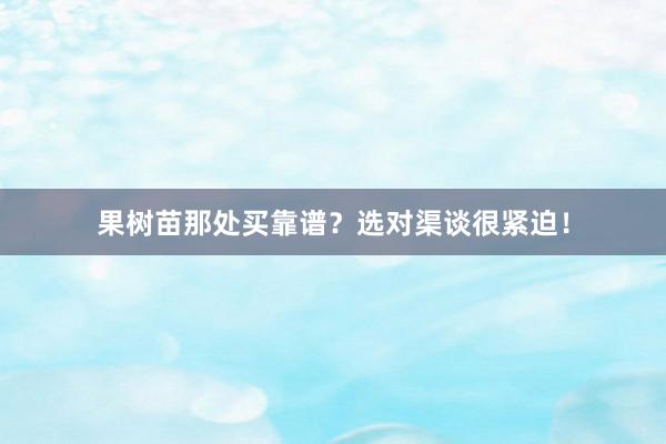 果树苗那处买靠谱？选对渠谈很紧迫！